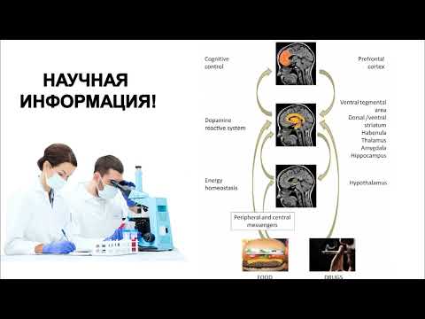 Пищевая зависимость  почему здоровое питание вызывает сопротивление