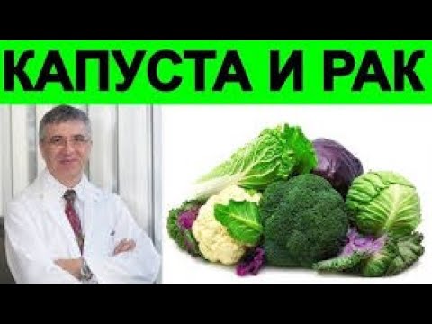 Рост рака нужно блокировать с помощью растений   Профессор Ришар Беливо