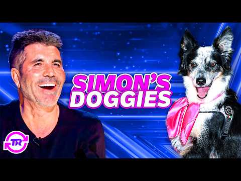 Simon Cowell's FAVORITE Dog Acts EVER!