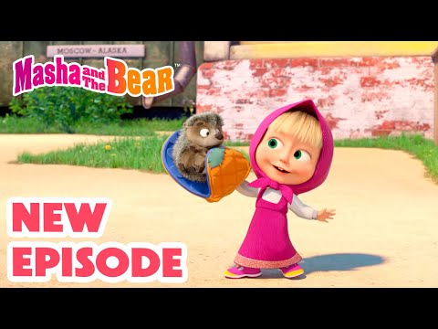 Masha and the Bear 2024 🎬 NEW EPISODE! 🦔 My Cutie-Patootie 🥰 🎬 Best cartoon collection