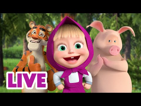 🔴 LIVE STREAM 🎬 Masha and the Bear 🤸‍♂️ Jump, Skip and Hop together 🏃🙌