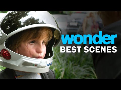 Wonder's Best Scenes