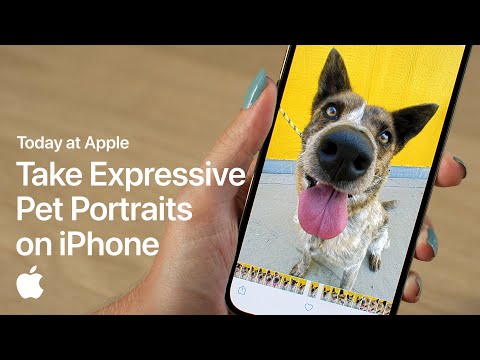 ⁣Take Expressive Pet Portraits on iPhone with Sophie Gamand | Apple