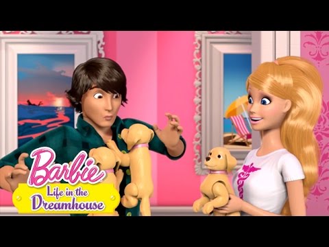 Puppy's in Overvloed | @Barbie