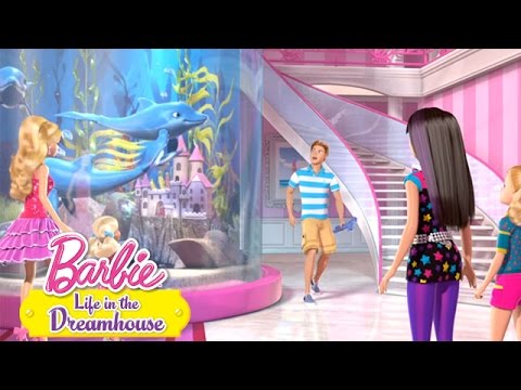 Hvad koster delfinen i det vindue? | @Barbie