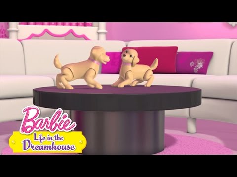 Latinoamérica: Life in the Dreamhouse - Mascotas al mayoreo | @Barbie