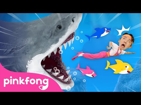 😱 Run Away from the Sharks! | Animal Song | Pinkfong Baby Shark Kids Song