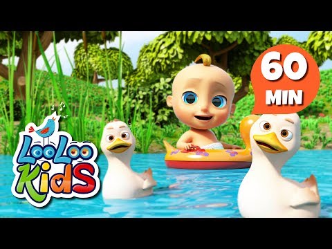 Five Little Ducks - Learn English with Songs for Children | LooLoo Kids