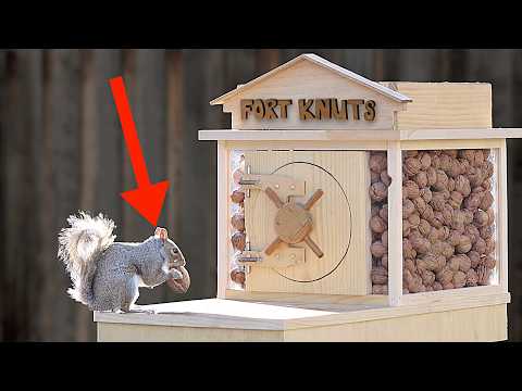 ⁣Backyard Squirrel Maze 2.0- The Walnut Heist