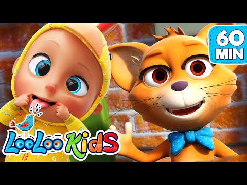 Mister Cat - Educational Songs for Children | LooLoo Kids