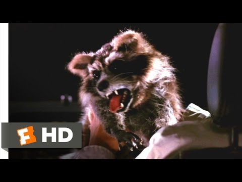 Harold & Kumar Go to White Castle - Rabid Raccoon Attack Scene (3/10) | Movieclips