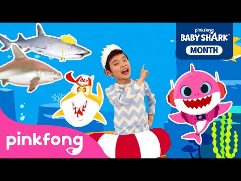 [🔴 LIVE] 🏆 BEST Baby Shark Dance Songs | Summer Baby Shark | Shark Month Special | Official Pinkfong