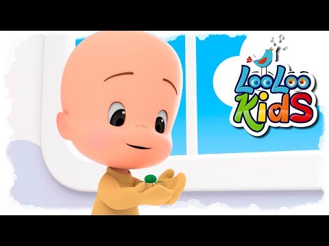 Itsy Bitsy Spider - Nursery Rhymes from LooLoo Kids