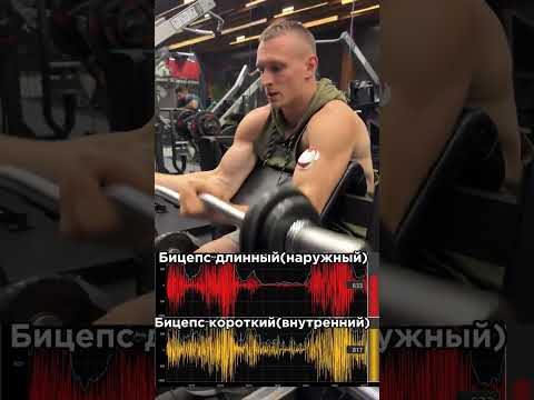 Как лучше прокачать бицепс. Какой гриф лучше. #fitness #бицепс