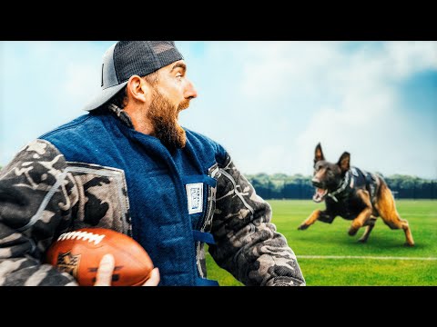 ⁣Can We Outrun a Police Dog? | Animal Olympics