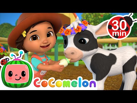 Cute Baby Animals with CoComelon 🐄 La Vaca Lola + Old MacDonald + MORE CoComelon Nursery Rhymes