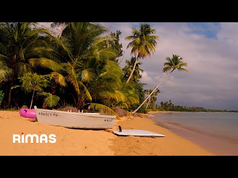 Bad Bunny - Me Fui de Vacaciones (360° Visualizer) | Un Verano Sin Ti