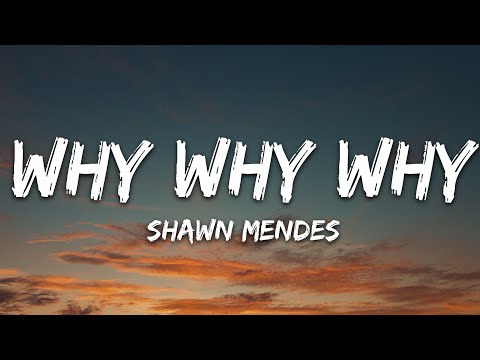 Shawn Mendes - Why Why Why (Lyrics)