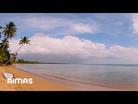 ⁣Bad Bunny - Aguacero (360° Visualizer) | Un Verano Sin Ti