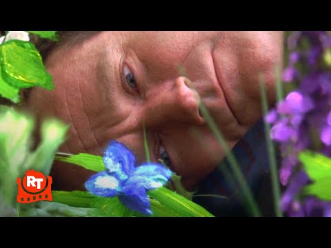 What Dreams May Come (1998) - Robin Williams In Painted Heaven Scene | Movieclips