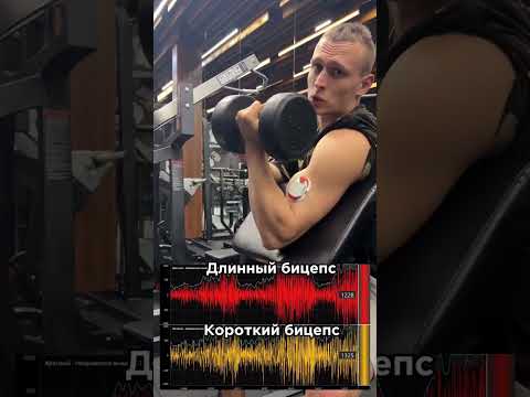 Как прокачать бицепс гантелей? #fitness #тренировка