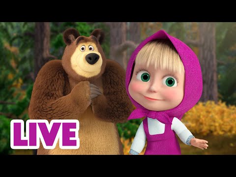 🔴 LIVE STREAM 🎬 Masha and the Bear ▶️ Now Streaming Episodes 📺