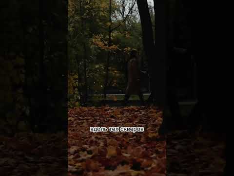 Слушайте трек «Все пруды» на всех музыкальных площадках!